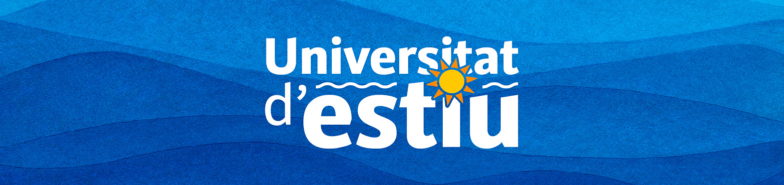 Universitat d'estiu